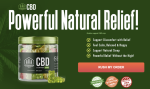 64cdd756f38de2cef7b42fe3_EverGreenCBDBottle-1243454-1691058014.png
